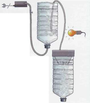 A Collecting brine shrimp nauplii through siphoning.