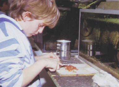 Preparing defrosted food before feeding it to large fish