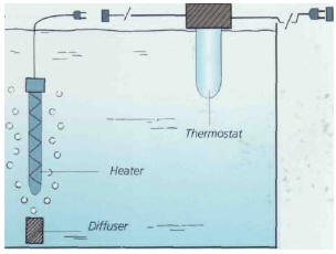 The thermostat must be placed some distance away from the heater for an adequate control of the temperature.