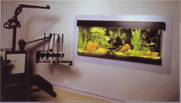 In a dentist's surgery, a tank of Amazonian fish faces the patient's chair