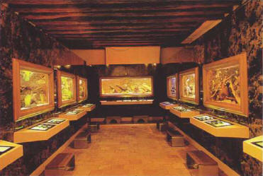 Freshwater room in the tropical aquarium in Tours