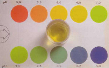 pH is measured by using a color test: water from the aquarium containing a few drops of the test is compared to a color scale that provides a reasonably precise determination of the pH value. T