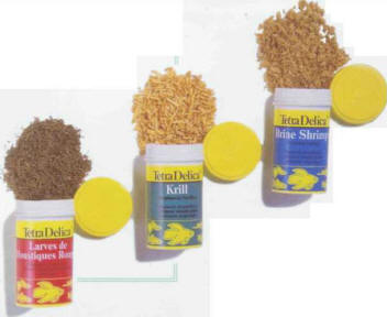 Specialist aquarium stores supply artificial fish food in a variety of forms and sizes