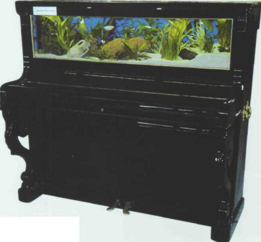 There are a huge number of original ways of setting off an aquarium.