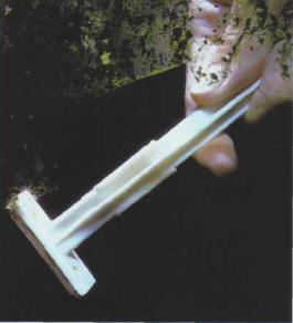 A disposable razor is useful for eliminating algae that grow on the aguarium panes.