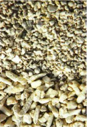 Two types of sediment are most common in marine tanks: maerl (above) and eroded and crushed coral, which is coarser, below.