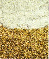 There are various types of sand, with different sized particles and colors